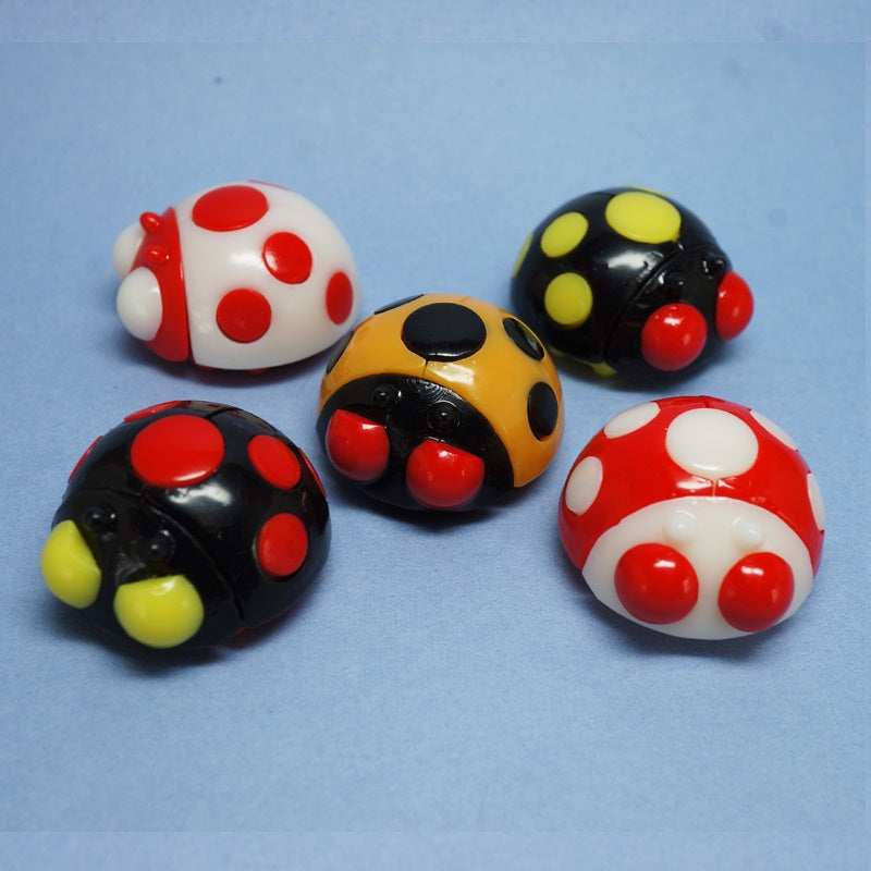 テントウムシ 【学名:テントウムシ】