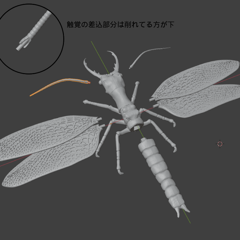 NW【オオキバヘビトンボ】 【学名:Acanthacorydalis】