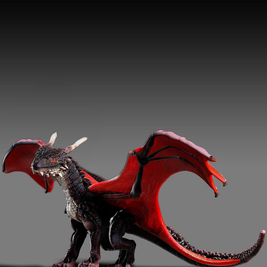 アカメカブトドラゴン
