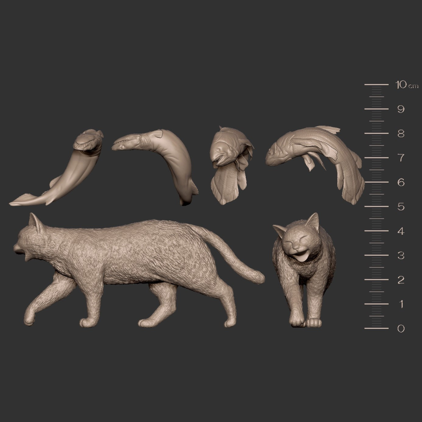 珍しい魚を手に入れた猫(シーラカンス.ラブカ)