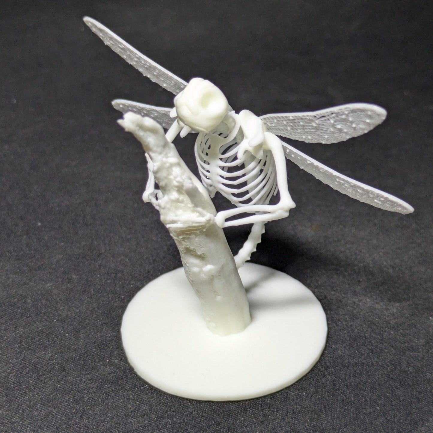 骨蜻蛉【学名:Endoskeletonis resinus】