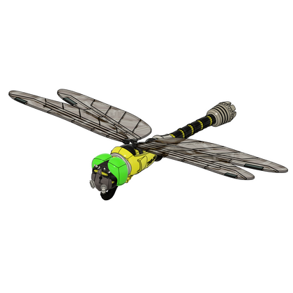 TNB-00(トンボ)【学名:Anotogaster caelum】