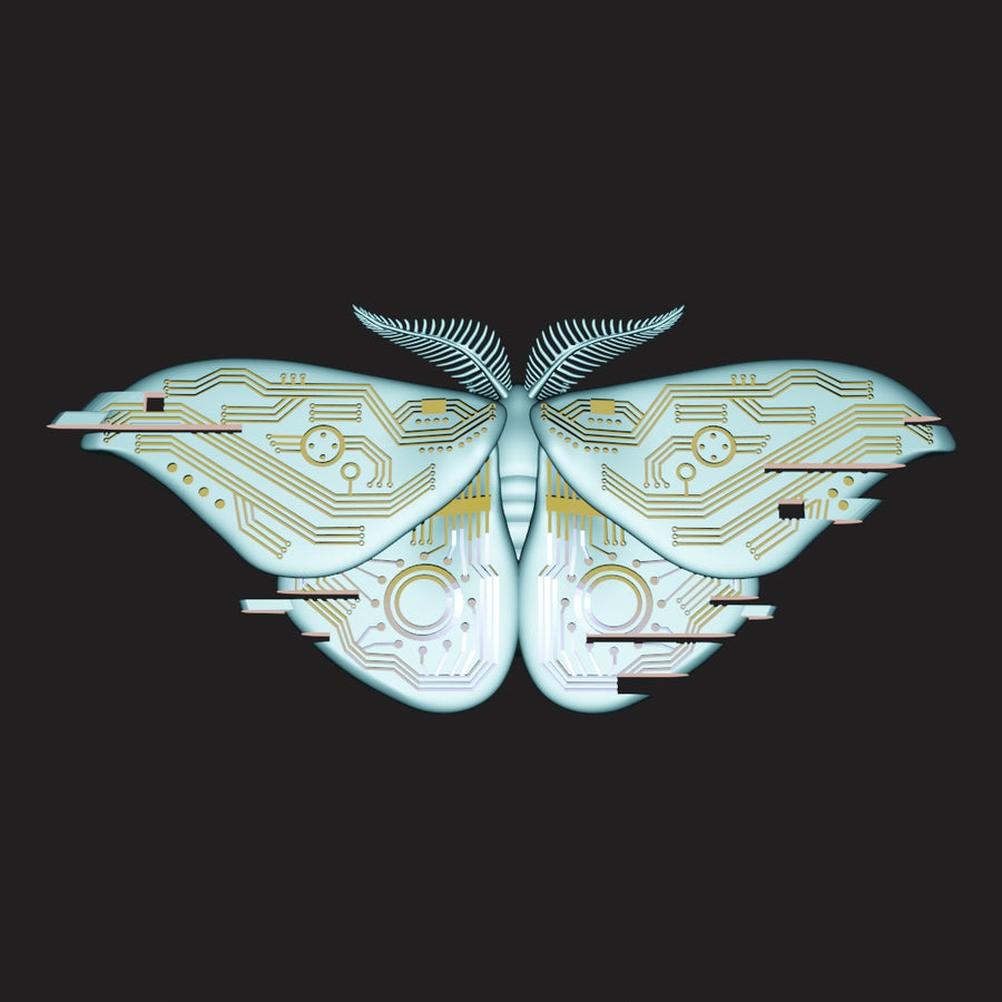 computer bug【学名:Saturnia computeris】