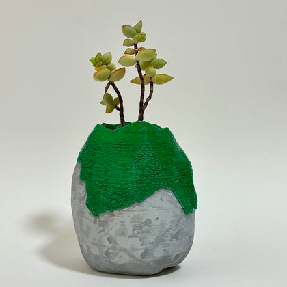苔玉鉢