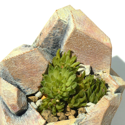 【habitatLikePot】(ハビタットライクポット)