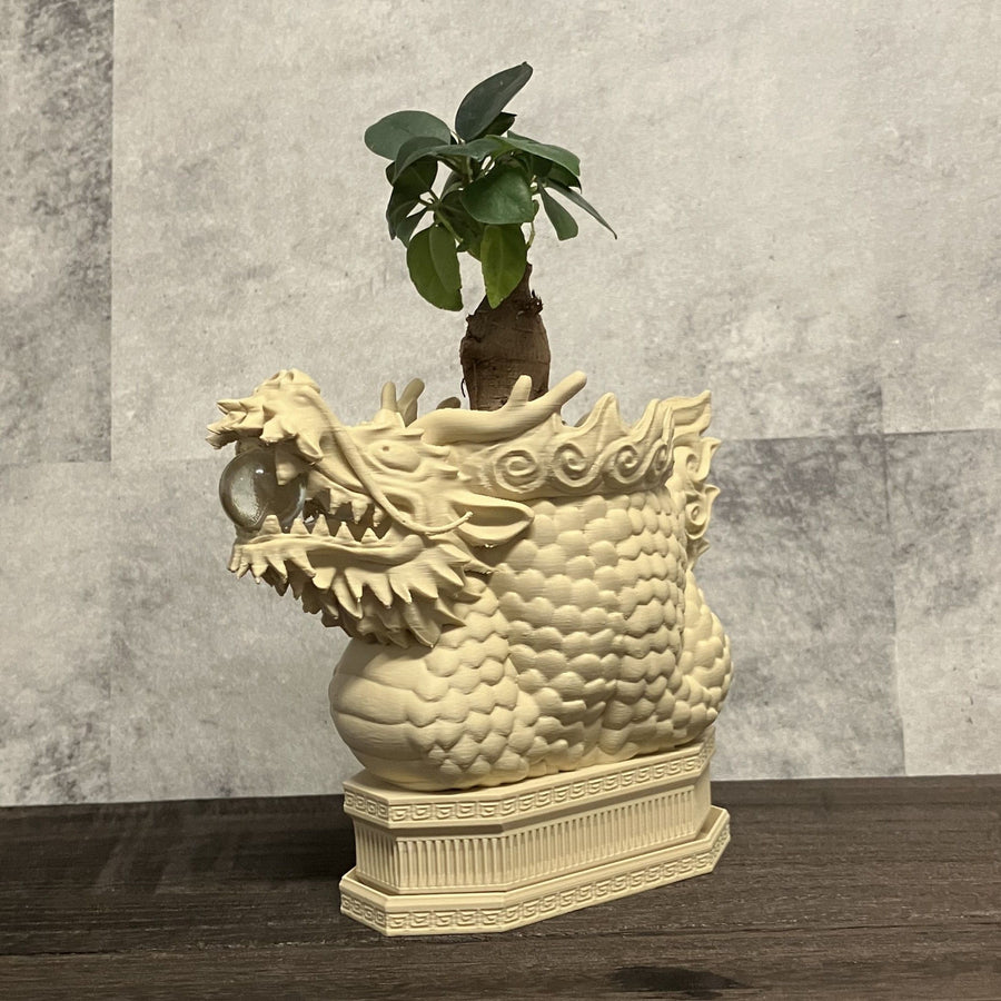 龍の植木鉢