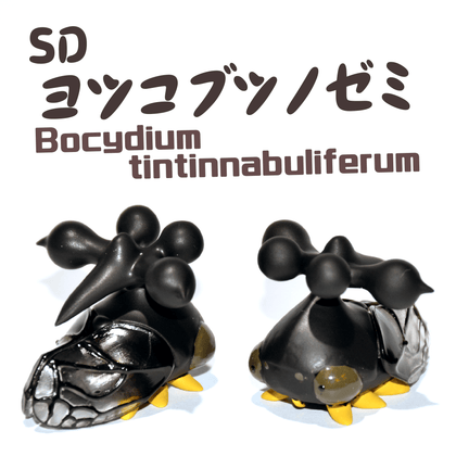 SDヨツコブツノゼミ【学名:Bocydium tintinnabuliferum】