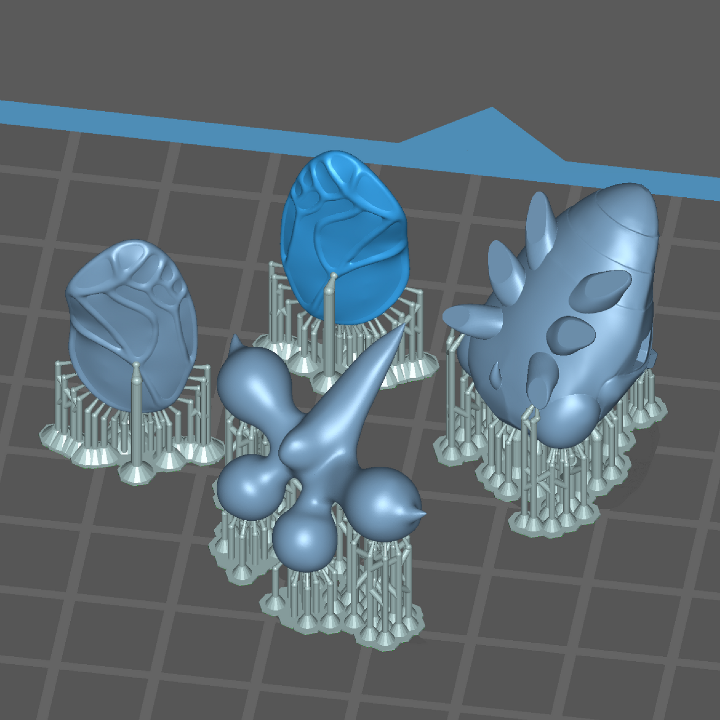 SDヨツコブツノゼミ【学名:Bocydium tintinnabuliferum】