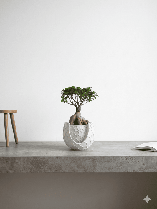 ボロノイのご神木