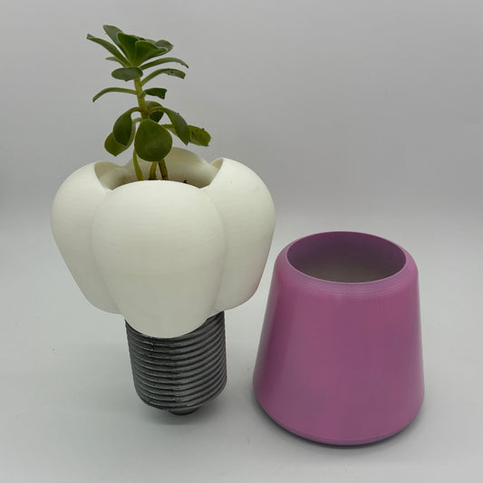 オクバ（イン・プラント）