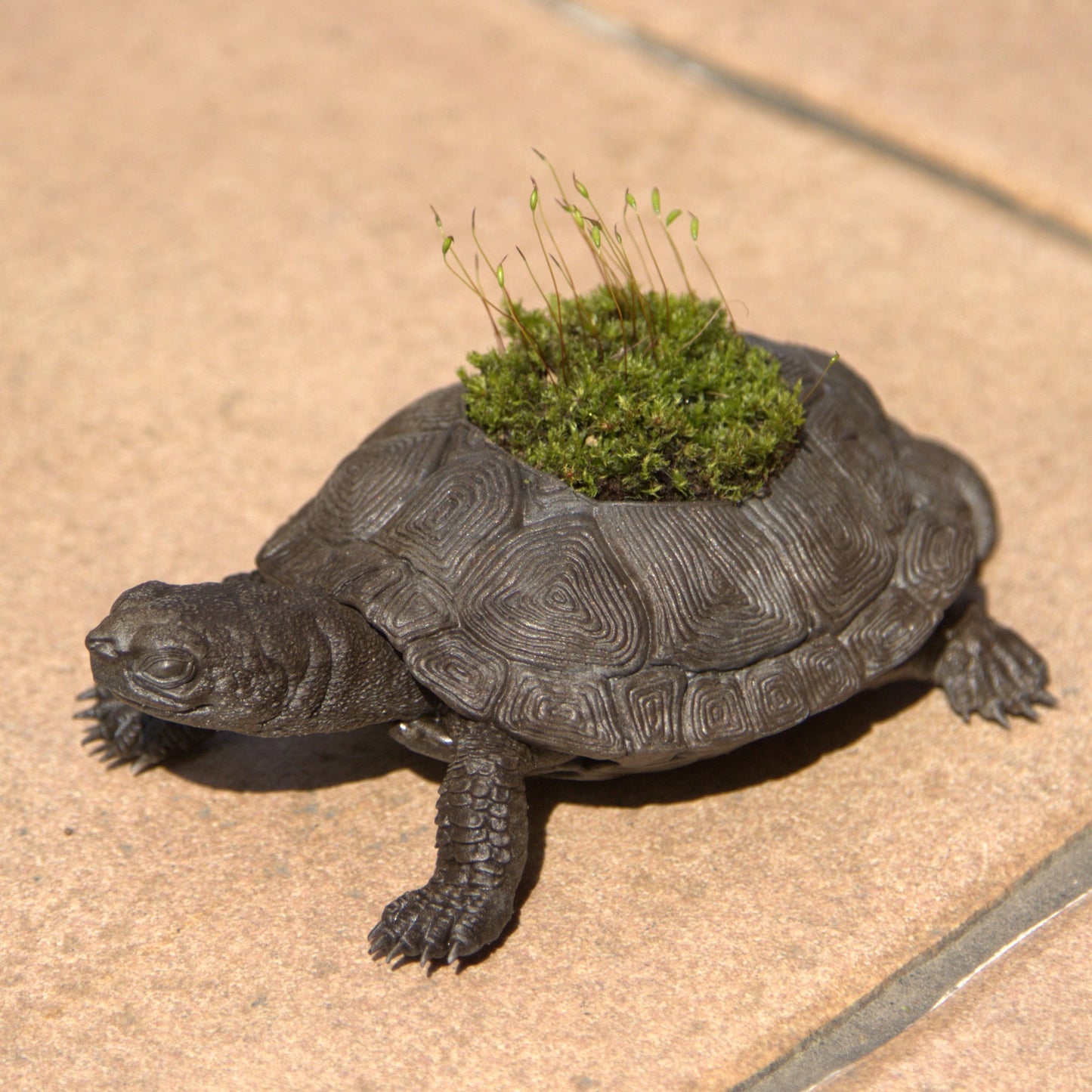 草がめ