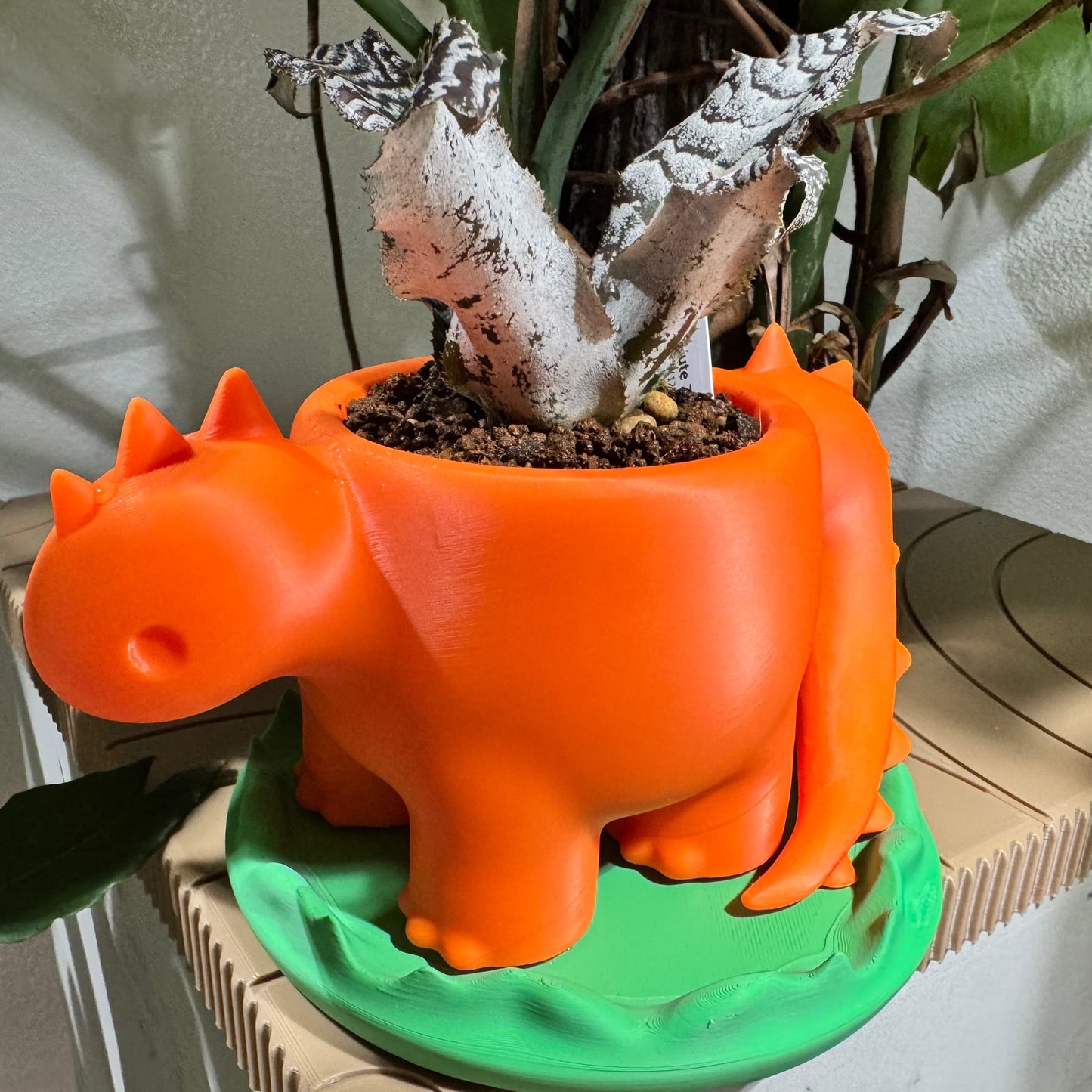 Tiny Dino Planter