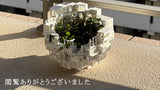 植物に侵食され廃墟の街になるまで