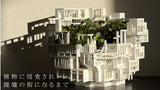 植物に侵食され廃墟の街になるまで
