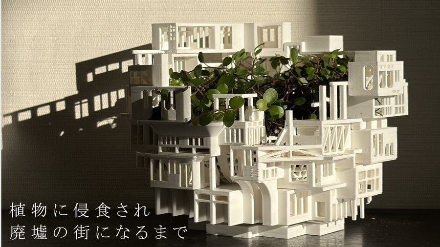 植物に侵食され廃墟の街になるまで