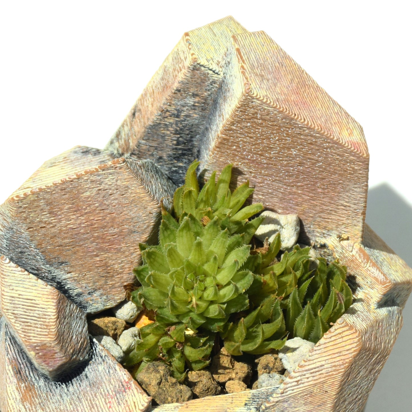 【habitatLikePot】（ハビタットライクポット）