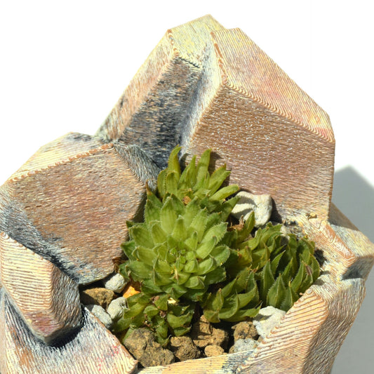 【habitatLikePot】（ハビタットライクポット）