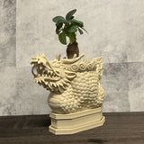 龍の植木鉢