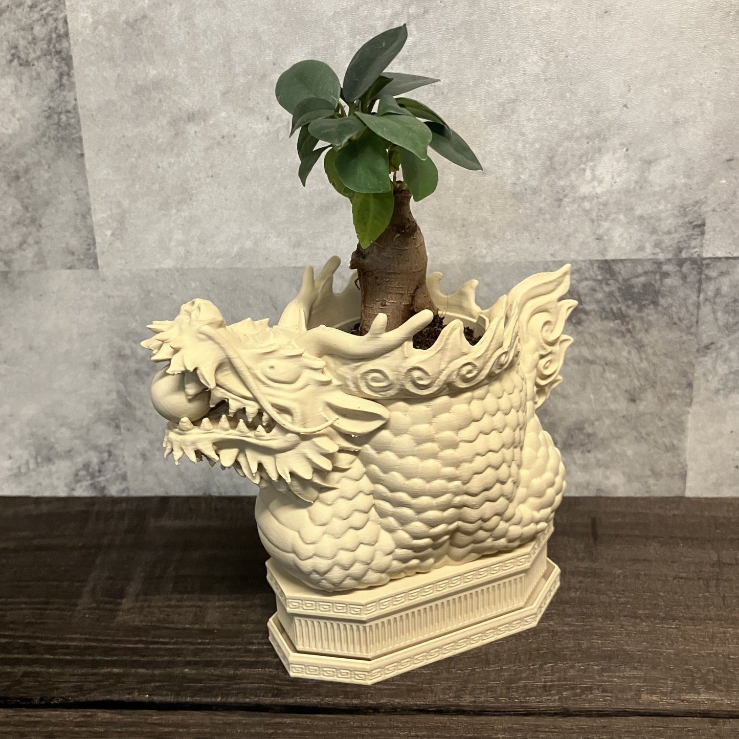 龍の植木鉢