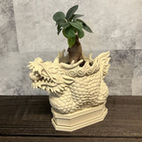 龍の植木鉢