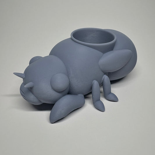 蝉の幼虫の鉢植え