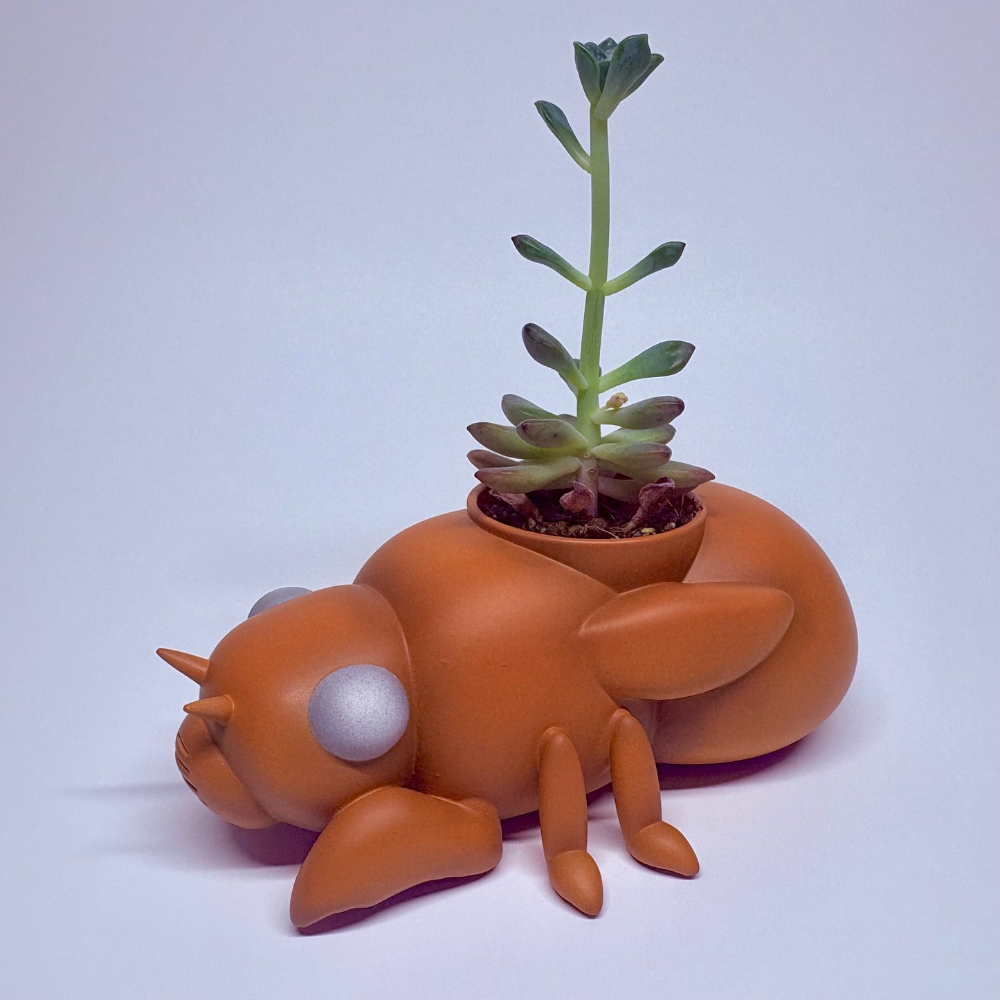 蝉の幼虫の鉢植え