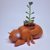 蝉の幼虫の鉢植え