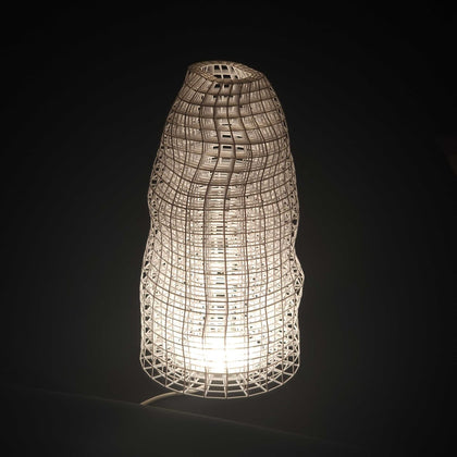 Wire Lamp